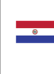 logo pañoplus